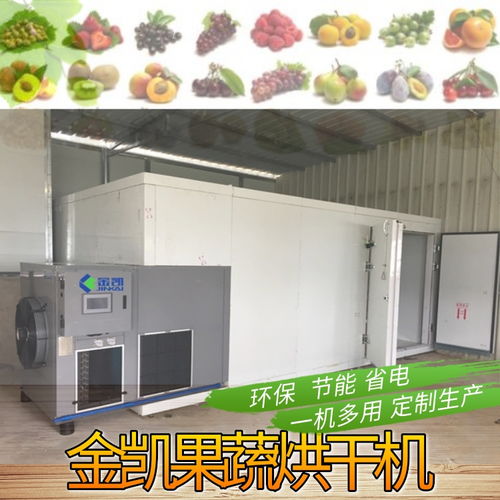 【櫻桃烘干機金凱水果烘干機小型果蔬烘干機】- 
