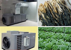 南寧專業(yè)的蔬菜烘干機批售 南寧蔬菜烘干房