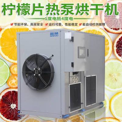 檸檬片烘干機 藍莓芒果檳榔水果干烘干設備 節能果蔬烘干機