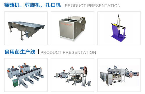 隨州鴻宇機(jī)械設(shè)備廠家小型羊肚菌烘干箱與果蔬烘干機(jī)市場價(jià)格解析