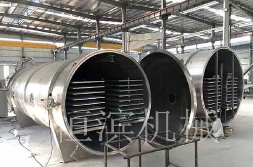 解鎖天然美味與營養(yǎng) 低溫冷凍干燥機在果蔬休閑食品領(lǐng)域的革命